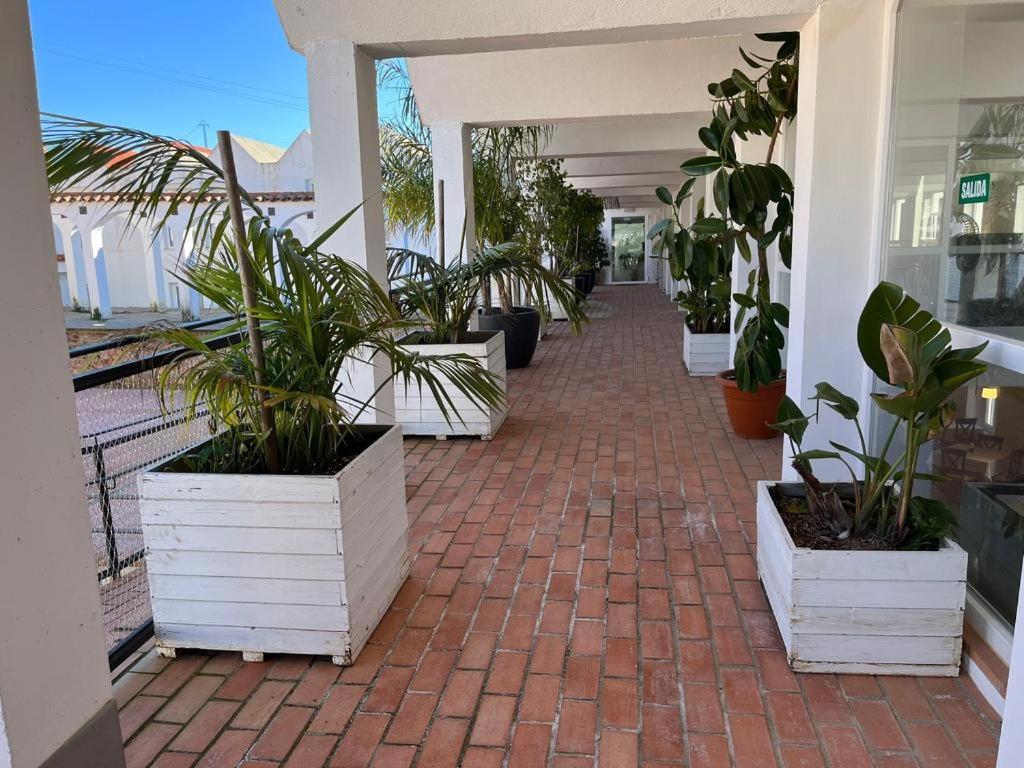 Hotel La Alcoholera Villaviciosa de Córdoba Екстериор снимка